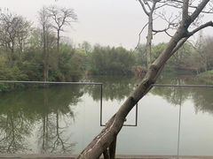 -木守西溪溪隐餐厅
