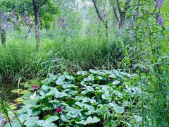 -青州市云门山风景区