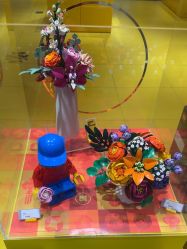 -乐高授权专卖店(岭南站NOVA店)