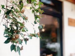 -Cafe Villa