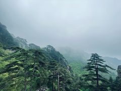 -黄山风景区