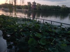 -后海公园