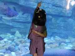 -泉城欧乐堡海洋极地世界