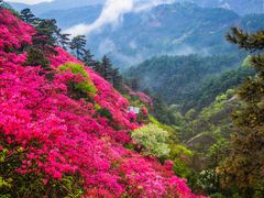 -木兰云雾山