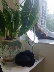 -安那般那皮肤年轻化ANAPANA