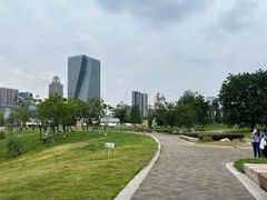 -桂溪生态公园