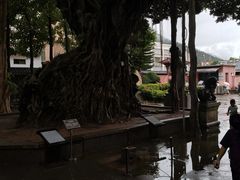 -闽粤南澳总镇府
