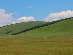 -陌上花开主题餐厅