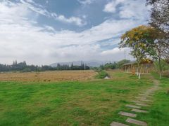 -长田漾湿地公园