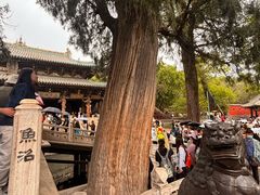-晋祠公园