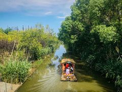 -上海长兴岛郊野公园