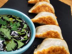 -VEGA VEGA 我行我素