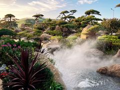 -罗红摄影艺术馆