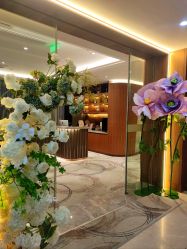 -杭州米兰柏羽医疗美容医院