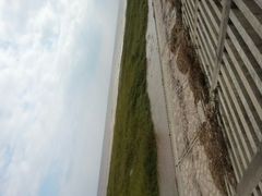 android_upload_pic-南汇嘴观海公园