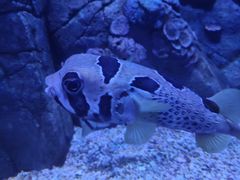 -成都浩海立方海洋公园