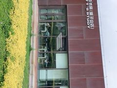 -莫子山公园