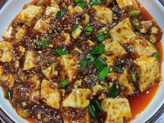 麻婆豆腐-盐与味葱葱鲫鱼•自贡菜江湖菜(春熙店)