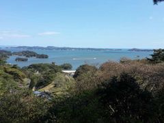 -松岛