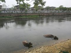 -杭州双溪漂流景区