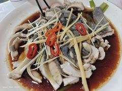 -煲来饱去冷水鱼