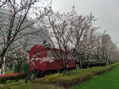 -新天地活力PARK