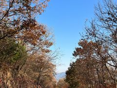 -妙峰山风景名胜区