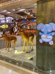 点击看大图 -鲁比猴非洲探索部落(喜盈门店)