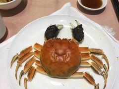 -王宝和酒家(黄浦店)