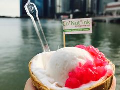 -Co+Nut+Ink(圣淘沙店)