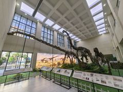 -广西壮族自治区博物馆