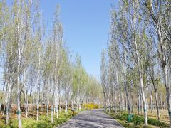-东郊湿地公园