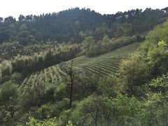 -敬亭山风景名胜区