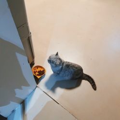 -Nora阿育吠陀·瑜伽·整体疗愈苑