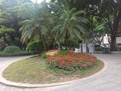 -文华公园(禅城区)