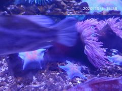 -南昌融创海世界