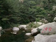 -无染寺