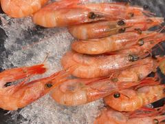 -渔荷食町·铁板烧料理(崂山万象汇店)