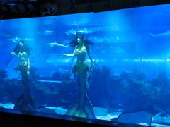 -成都浩海立方海洋公园