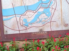-五缘湾湿地公园