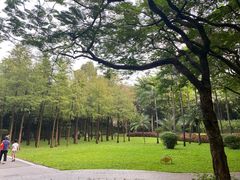 -晓港公园