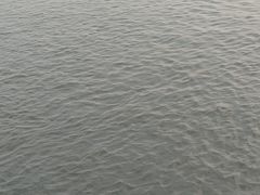 -金鸡湖景区