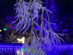 -淄博花灯齐彩城