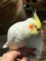 -Zoolung Zoolung动物主题公园(海信广场店)