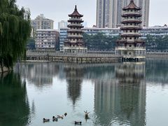 -宝岛公园