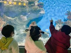 -福州罗源湾海洋世界旅游区