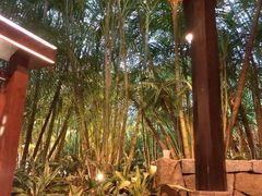 -厦门日月谷温泉渡假村