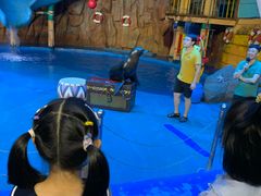 -烟台海昌鲸鲨海洋公园