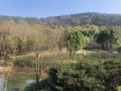 -苏州环秀晓筑养生度假村