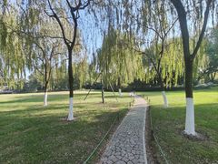 -柳浪闻莺公园